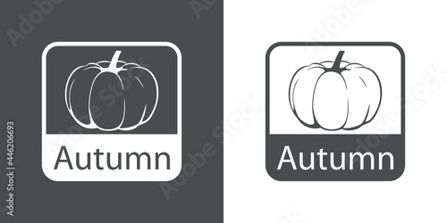 Icono con texto Autumn con silueta de calabaza en cuadrado en fondo gris y fondo blanco