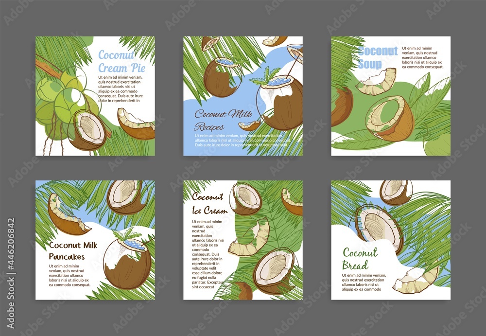Collection of engraved coconut milk post illustration detailed advertising exotic vitamin product
