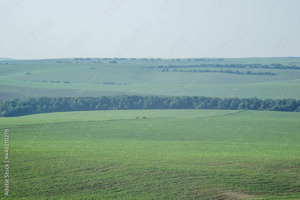 Fototapeta premium Beautiful summer countryside landscape in Europe