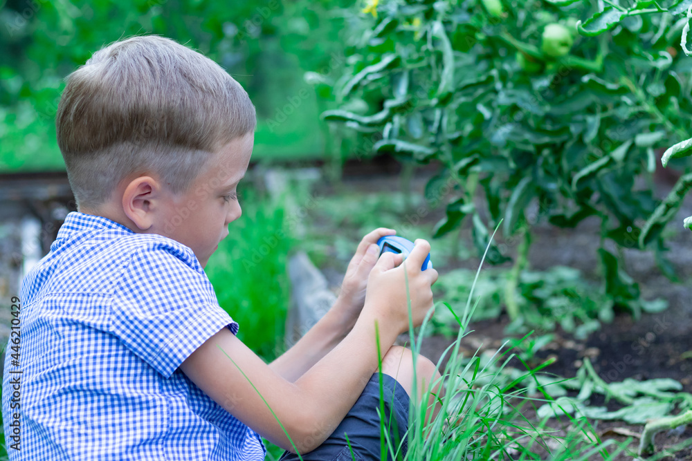 A cute preschooler boy with a neat haircut in a blue shirt takes pictures of green plants in a greenhouse on a hot summer day. Selective focus. Portrait A cute preschooler boy with a neat haircut in a blue shirt takes pictures of green plants in a greenhouse on a hot summer day. Selective focus. Portrait