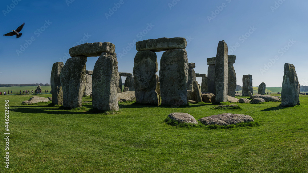 Fototapeta premium Stonehenge with Raven