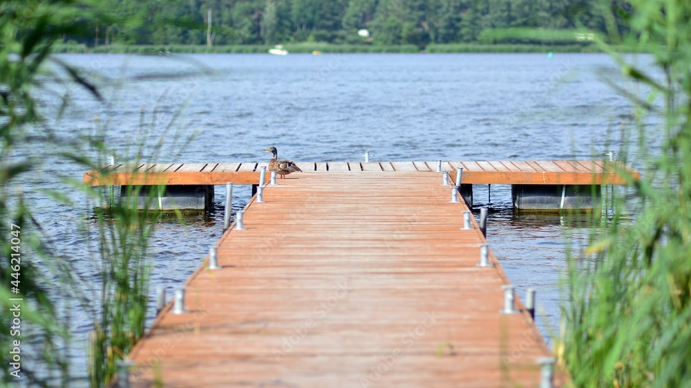 Naklejka premium A wooden pier on lake