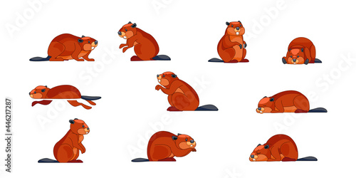 Beaver wild animal set vector illustration. Funny character in various poses cartoon design. Groundhog day concept. Isolated on white background