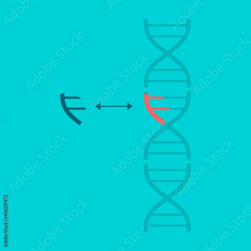 Genome editing, regulating and targeting medical concept