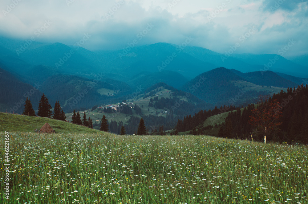 Fototapeta premium Carpathian mountain landscape