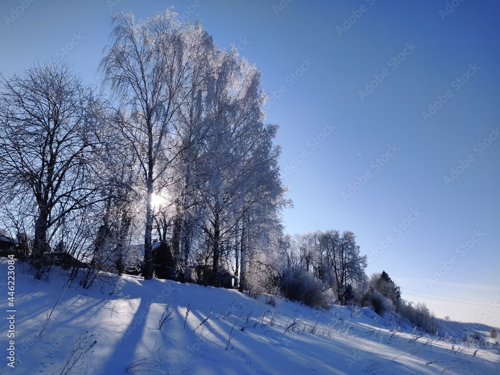 winter landscape with trees and sun