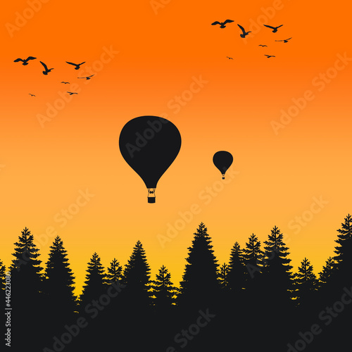 hot air balloon