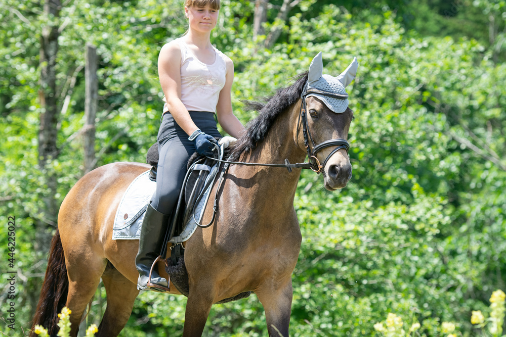 Mädchen mit Pferd/Pony