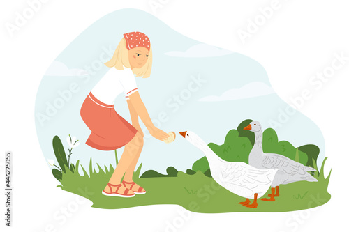 Young woman farmer feeds geese. The girl takes care of the poultry. A cute girl stands on a green lawn and holds out bread to a white goose. Vector illustration in flat style