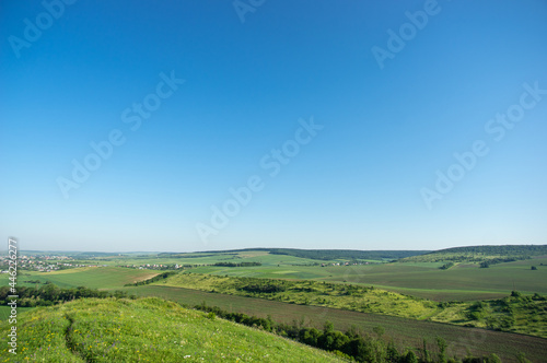 Beautiful summer landscape, fields in the countryside