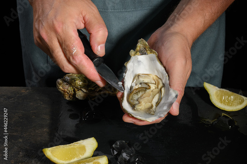 Photos A man's hands are shucking fresh oysters with a blade of knife, Opening the hollow and flat oysters