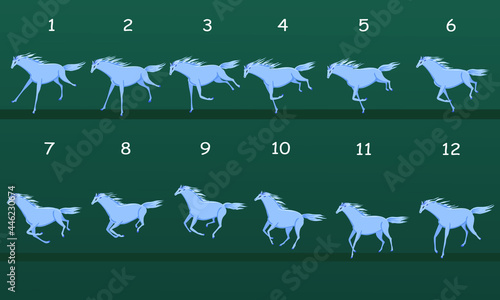 Horse running animation. Twelve key positions of horse running. Vector illustration isolated on white background.