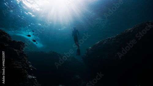 Freediver emerging up to surface
