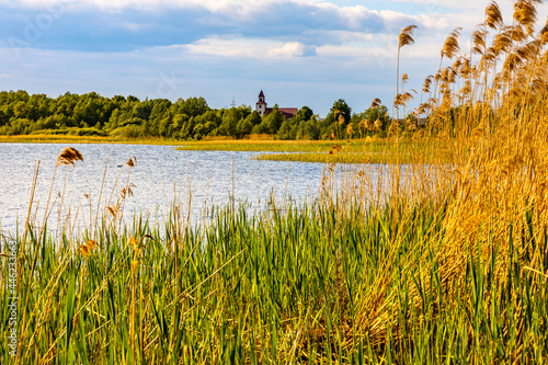 Panoramic summer view of Jezioro Selmet Wielki lake landscape with reeds and wooded shoreline in Sedki village in Masuria region of Poland photo