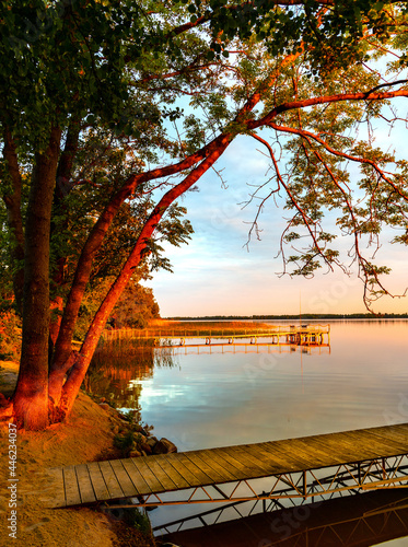 Fototapeta Naklejka Na Ścianę i Meble -  Panoramic summer sunset view of Jezioro Selmet Wielki lake landscape with vintage pier, reeds and wooded shoreline in Sedki village in Masuria region of Poland