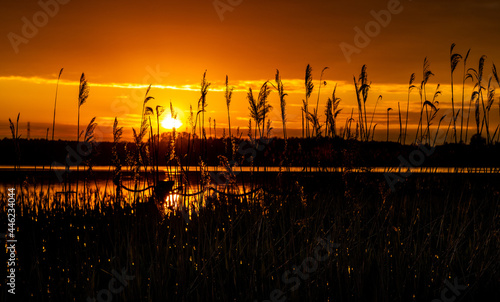 Fototapeta Naklejka Na Ścianę i Meble -  Panoramic summer sunset view of Jezioro Selmet Wielki lake landscape with reeds and wooded shoreline in Sedki village in Masuria region of Poland