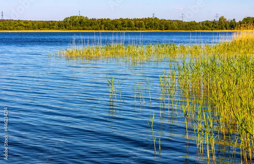 Fototapeta Naklejka Na Ścianę i Meble -  Panoramic summer view of Jezioro Selmet Wielki lake landscape with reeds and wooded shoreline in Sedki village in Masuria region of Poland