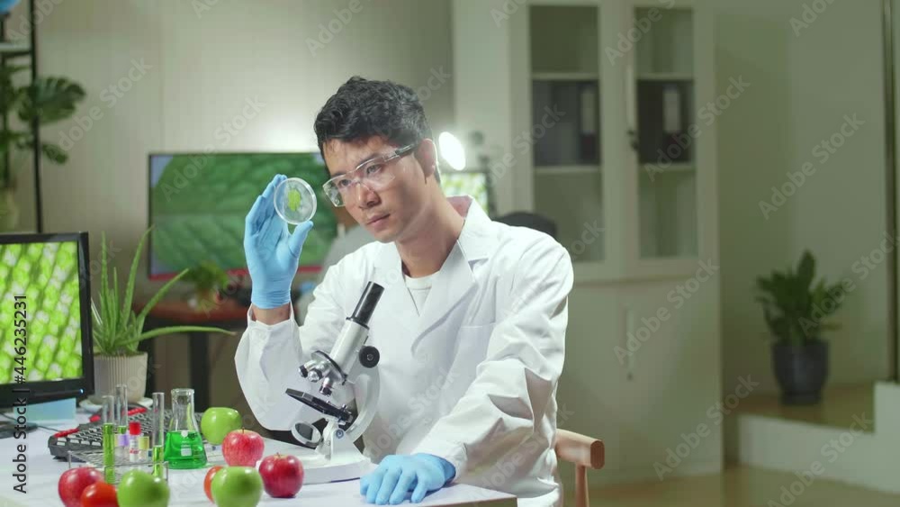 Botanist Man Looking At Petri Dish With Leaf Sample Checking Gmo Test For Chemistry Experiment. Biologist Analyzing Plant In Biological Laboratory
Botanist Man Looking At Petri Dish With Leaf Sample Checking Gmo Test For Chemistry Experiment. Biologist Analyzing Plant In Biological Laboratory