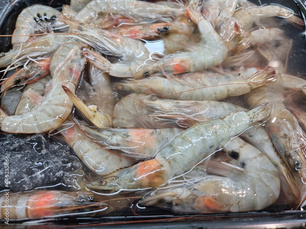 A large number of fresh shrimps gathered together.