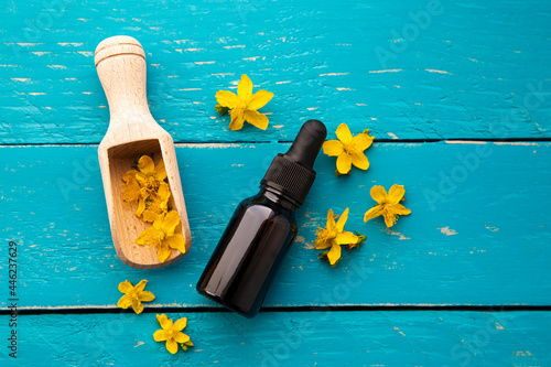 Hypericum perforatum known as perforate St John's-wort tincture or oil bottle with plant flowers for decoration on blue color wood board background. Herbal medicine concept. photo