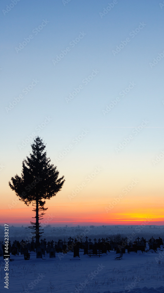 Fototapeta premium sunset in the winter