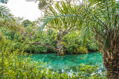 Bonito - Mato Grosso do Sul, Brasil