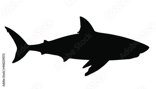 Shark silhouette on a white background. Side view. Vector illustration