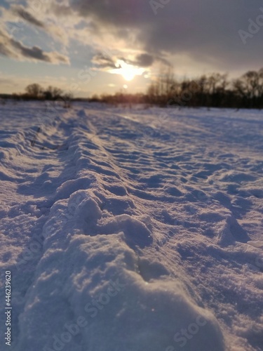 sunset in the snow