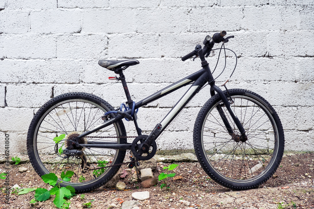 Fototapeta premium Black mountain bicycle at the garden against white wall background