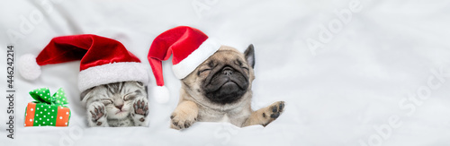 Kitten and Pug puppy wearing santa hats sleep together with gift box under a white blanket on a bed at home. Top down view. Empty space for text