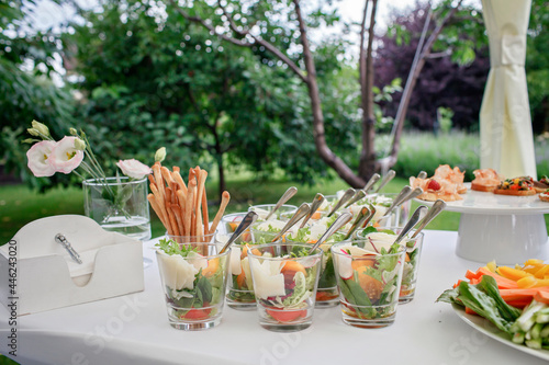 Backyard barbeque party at summer, elegant decoration, luxury catering, tasty and beautiful food on open air, drink and buffet standing reception, festive celebration