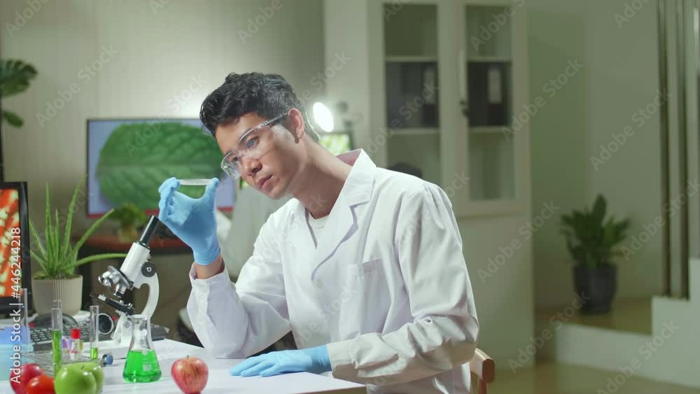 Botanist Man Looking At Petri Dish With Leaf Sample Checking Gmo Test Typing Scientist Researcher On Computer For Chemistry Experiment. Biologist Analyzing Plant In Biological Laboratory
Botanist Man Looking At Petri Dish With Leaf Sample Checking Gmo Test Typing Scientist Researcher On Computer For Chemistry Experiment. Biologist Analyzing Plant In Biological Laboratory