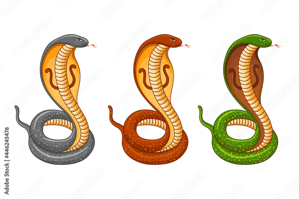 Set of Snakes, Nag Panchami Festival, King Cobra Stock Vector | Adobe Stock