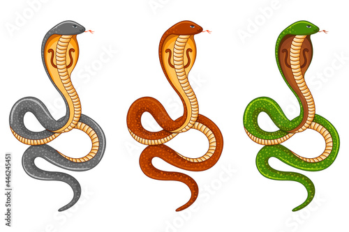 Foto Set of Snakes, Nag Panchami Festival, King Cobra