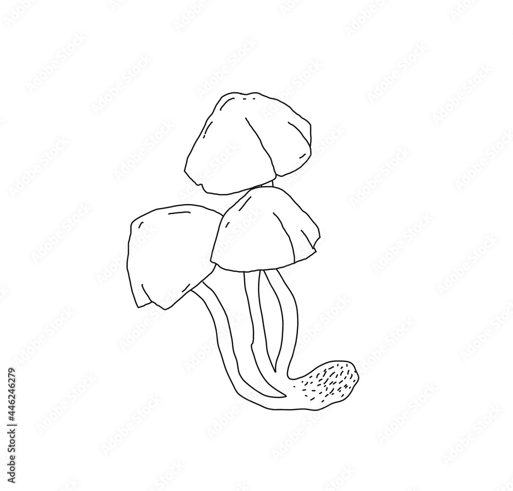 Illustration of a mushroom in the style of linart Illustration of a mushroom in the style of linart