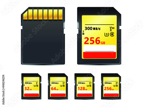 Illustration Vector memory SD cards isolated on white background this sd card for various computer, digital camera and smart mobile phone devices.