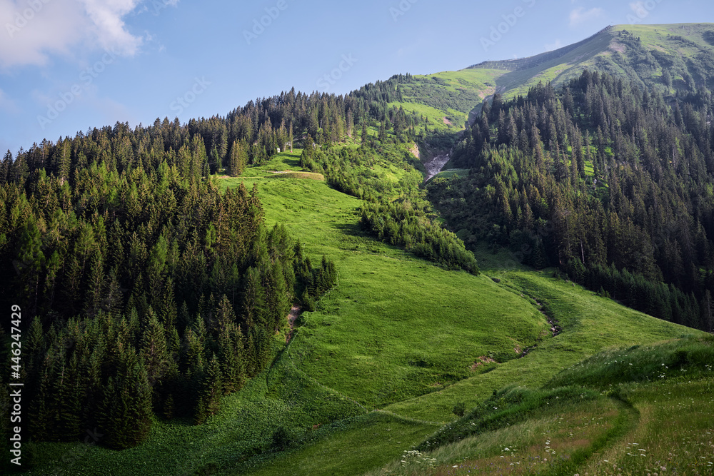 Beautiful summer mountains landscape. Green Alps view. Beautiful summer mountains landscape. Green Alps view.