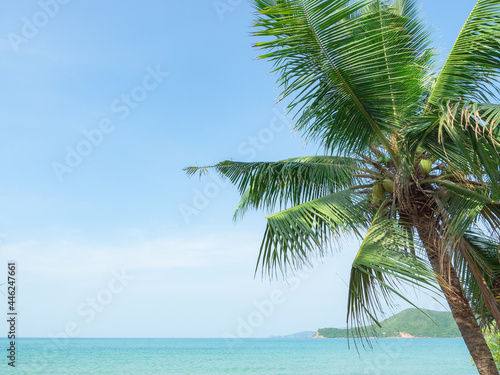 Blue ocean beach with coconut tree and valley background landscape,Travel holiday concept beaituful view seascape clean weather on blue sky