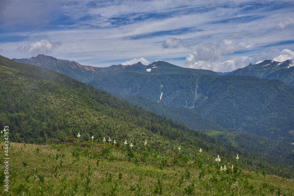 Obraz premium Mt.Yakushidake, early summer 初夏の薬師岳登山