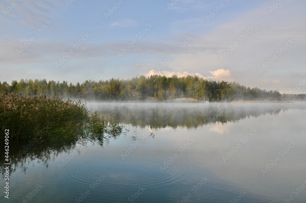 Dawn Dawn