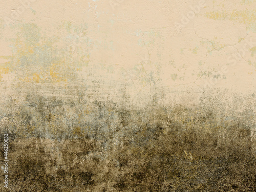 old vintage weathered yellow chipped mossy stucco wall surface texture background