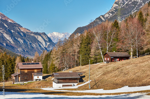 Kunkels in Upper Taminatal valley photo