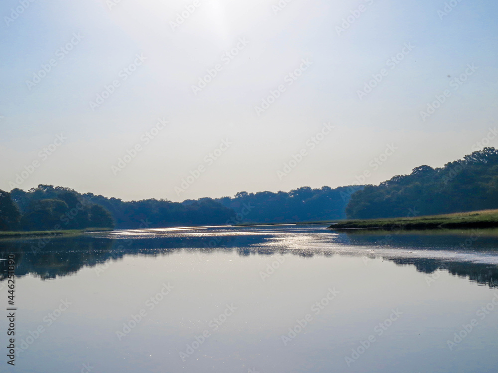 Fototapeta premium reflections in the river in the early morning summer sunshine