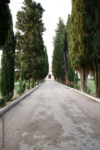 Peaceful landscape and beautiful garden and monastery in Assisi