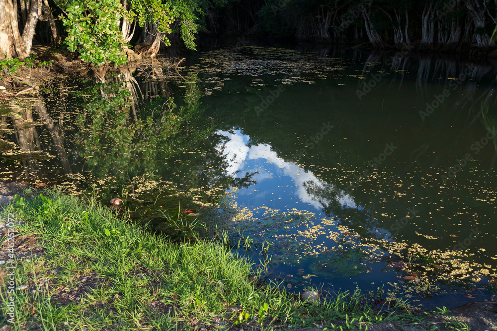 landscape scenery at an estuary