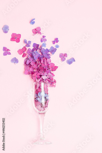 A champagne glass with spring flowers on a pink background, the concept of a party in a minimal season. The idea of the flowering of nature. Purple and pink flowers © Ксенич Шитовкина