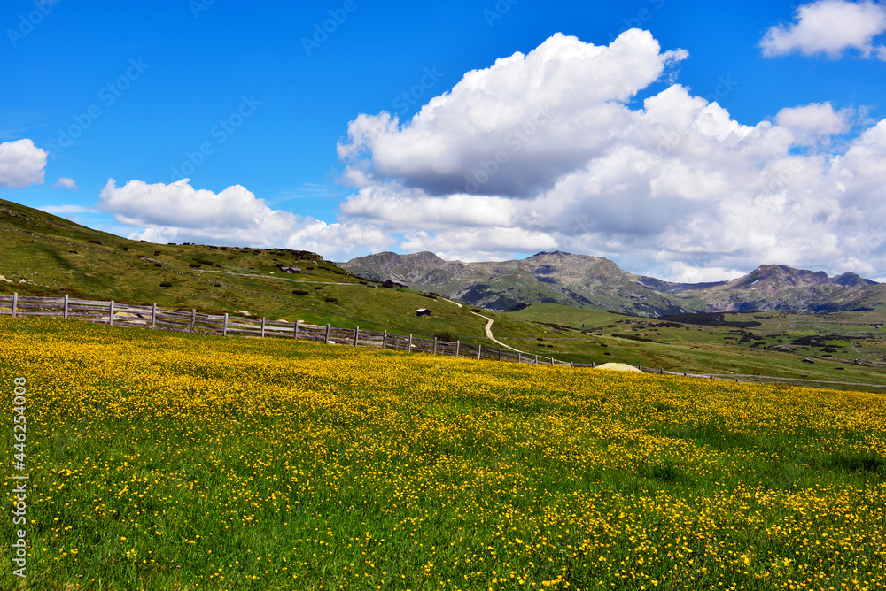 alpe di villandro It is the second largest mountain pasture in Europe south tyrol italy