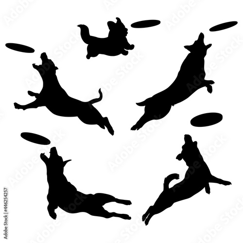 Silhouettes of dogs playing frisbee. Dog jumping in the air grabs a frisbee. Vector isolated illustration on white background.