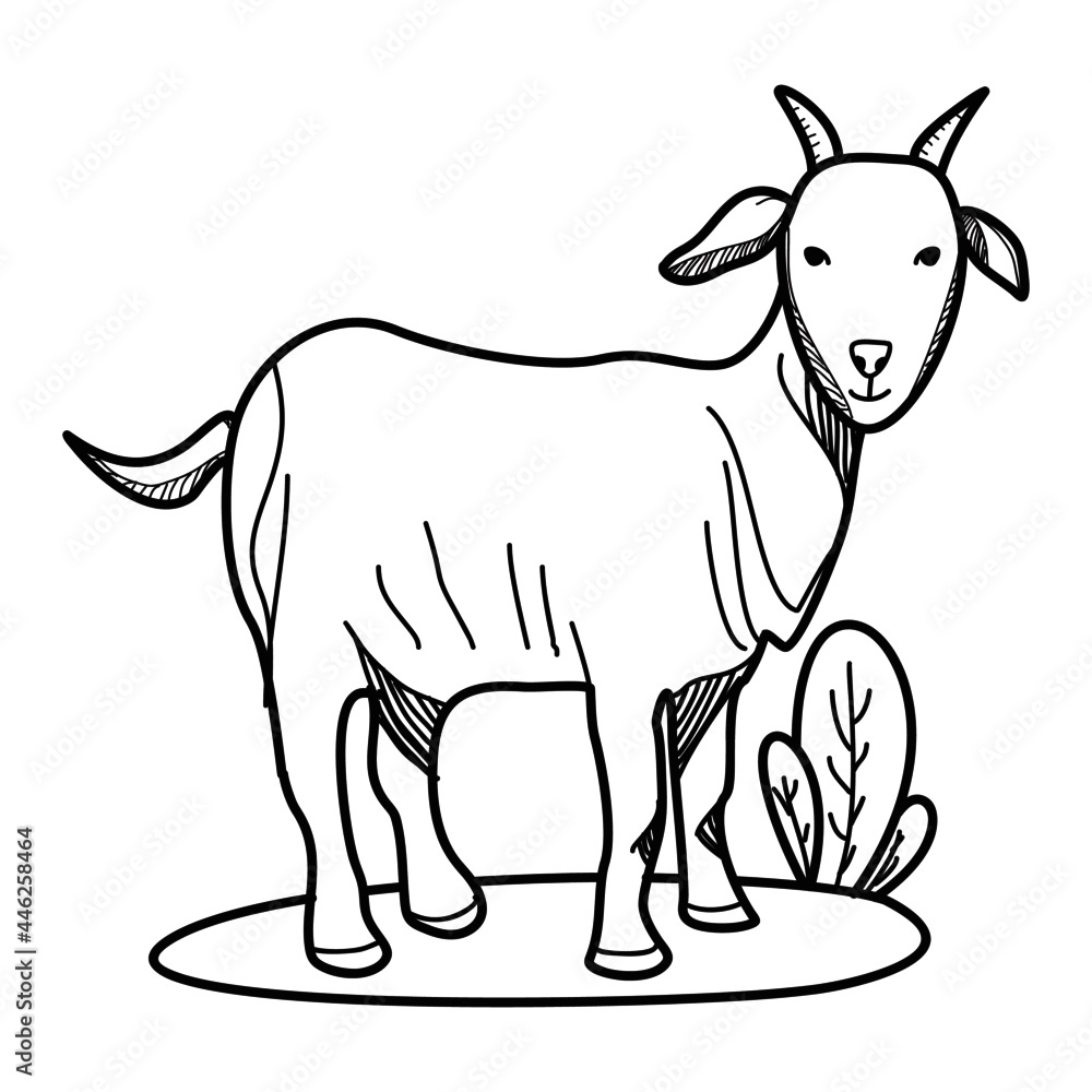 Cartoon goat doodle for Eid al-Adha with white background
