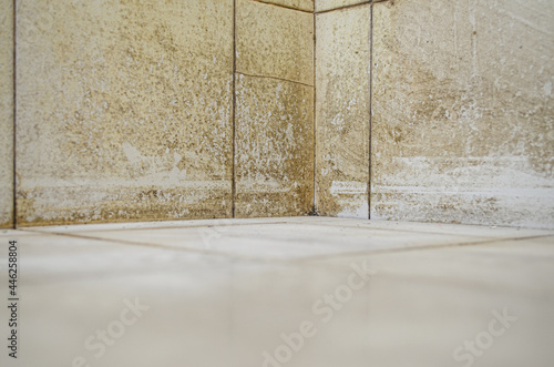 Φωτογραφία Closeup shot of dirt on floors, walls, and corners of bathroom tiles